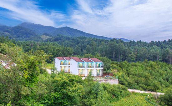 Pyeongchang Dreaming Darakbang Pension المظهر الخارجي الصورة
